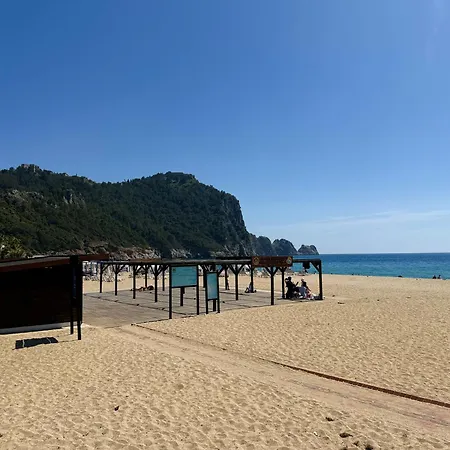 Sa Apartments! 500m To The Cleopatra Daire Alanya