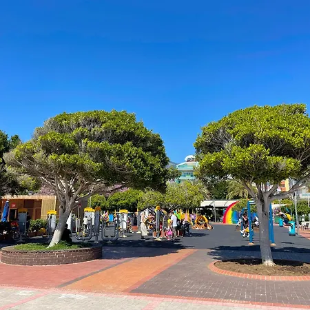 Sa Apartments! 500m To The Cleopatra Daire *